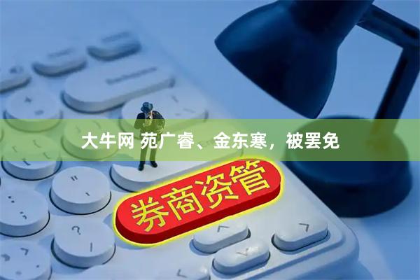 大牛网 苑广睿、金东寒，被罢免