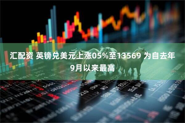 汇配资 英镑兑美元上涨05%至13569 为自去年9月以来最高