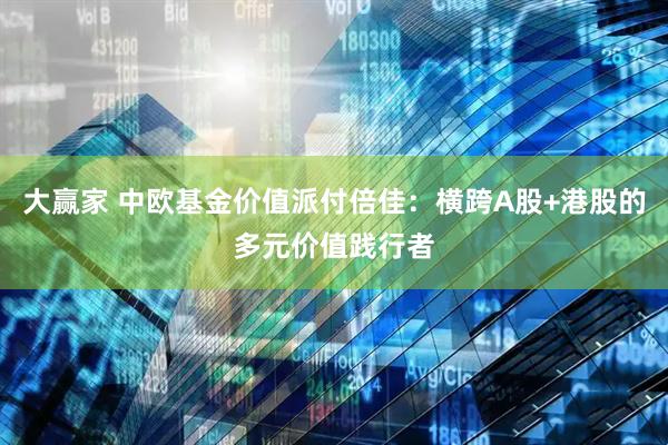 大赢家 中欧基金价值派付倍佳：横跨A股+港股的多元价值践行者