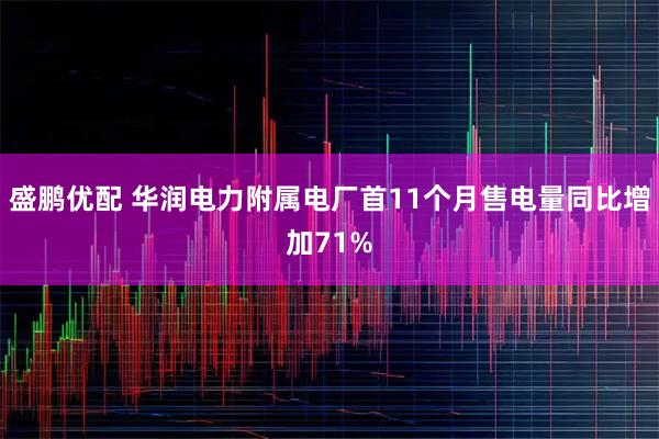 盛鹏优配 华润电力附属电厂首11个月售电量同比增加71%